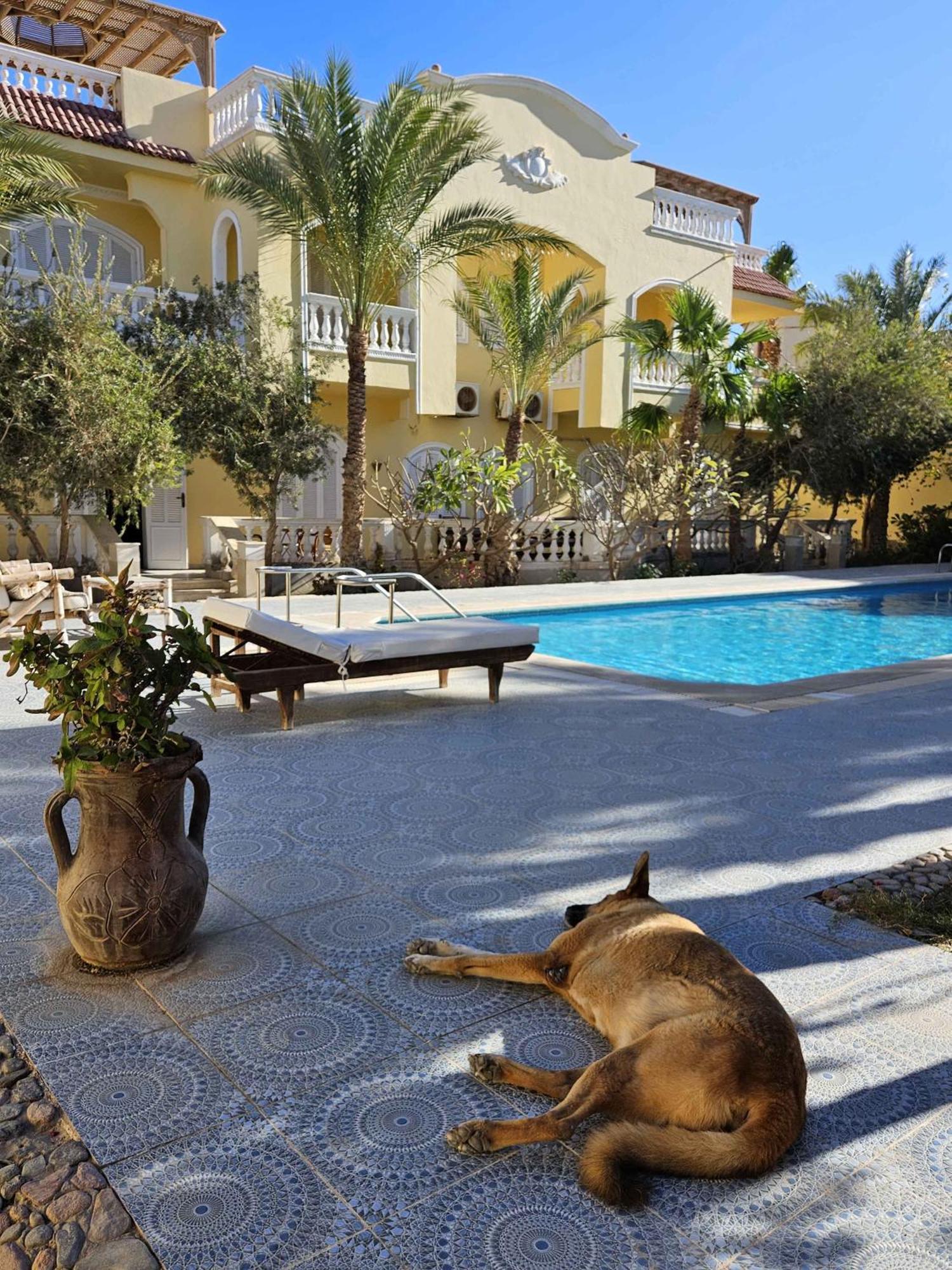 Villa Shahrazad Hurghada Ngoại thất bức ảnh
